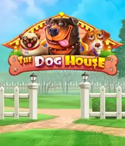 From Pragmatic Play comes The Dog House adventure, bringing you a fun-filled experience through lovable dogs. Engage in features such as sticky wilds, aimed at providing joyful moments. Ideal for pet lovers a cheerful setting with a chance for big wins.