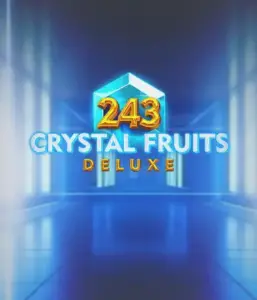 Discover the luminous update of a classic with 243 Crystal Fruits Deluxe game by Tom Horn Gaming, featuring crystal-clear visuals and a modern twist on traditional fruit slot. Indulge in the excitement of transforming fruits into crystals that offer dynamic gameplay, including a deluxe multiplier feature and re-spins for added excitement. An excellent combination of classic charm and modern features for every slot enthusiast.